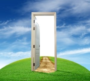 Should I enter the portal or not?